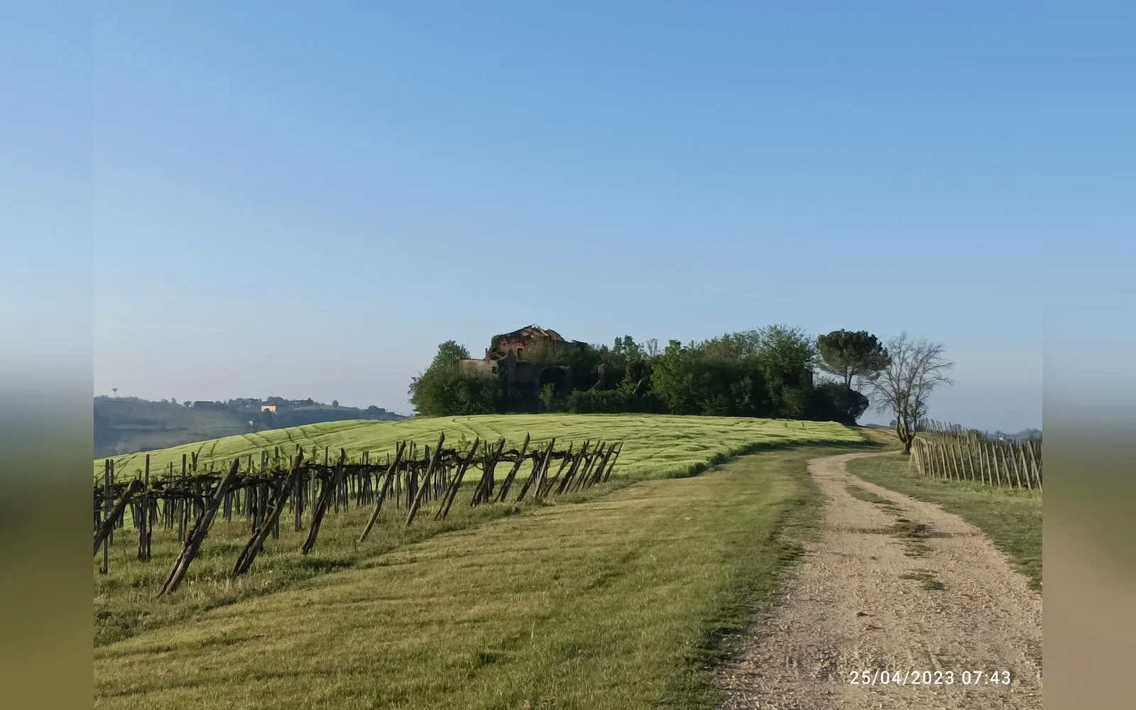 Esterni di Casa del Miglio, Castell'Alfero (Piemonte) (foto 1)