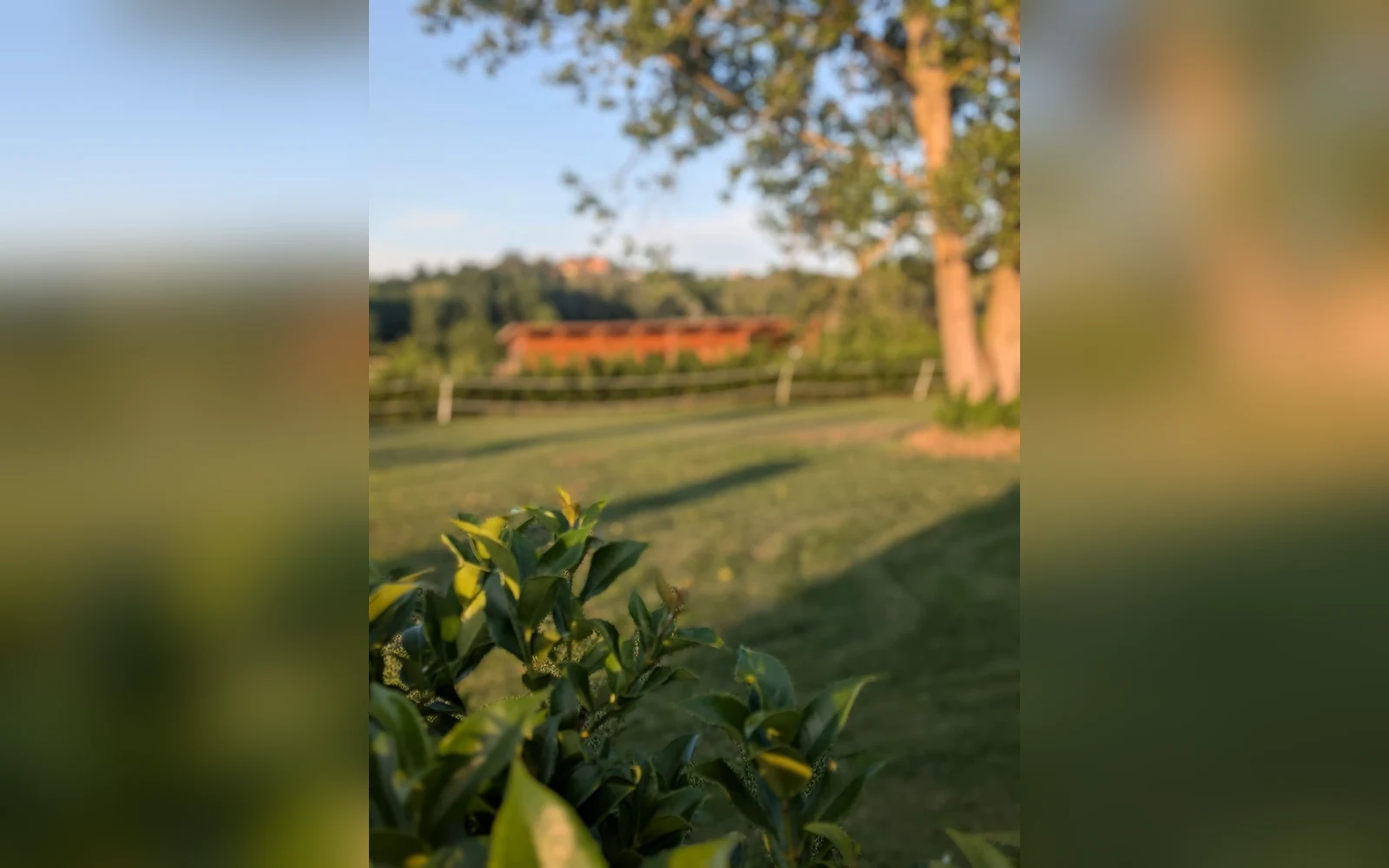 Esterni di Casa del Miglio, Castell'Alfero (Piemonte) (foto 77)