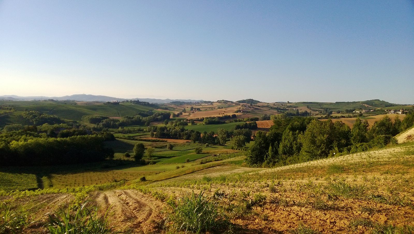 Colline astigiane a Portacomaro con campi arati, vigneti e boschetti sotto un cielo sereno