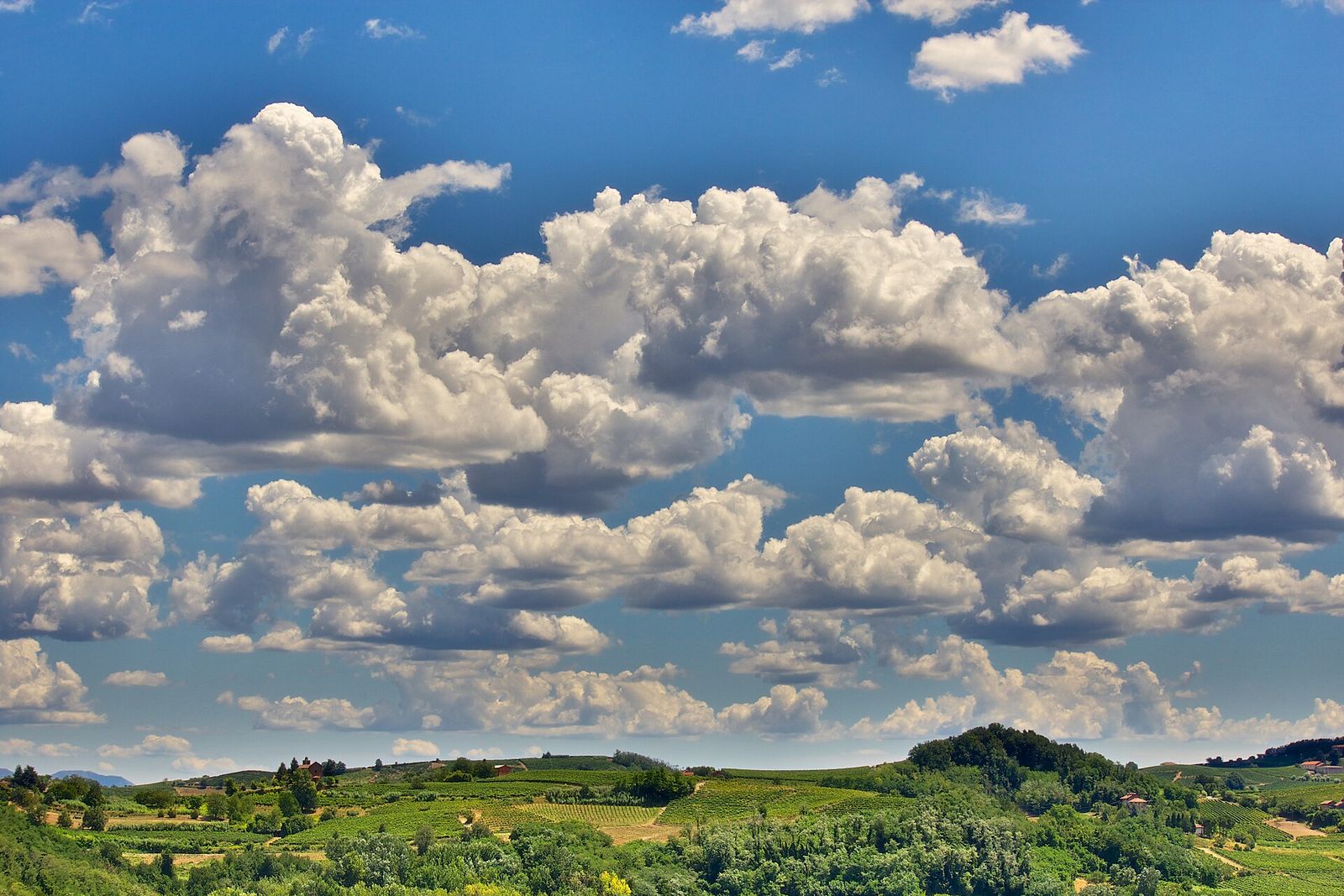 Grandi nuvole bianche in un cielo azzurro sopra colline verdi coltivate a vigneto in piena estate