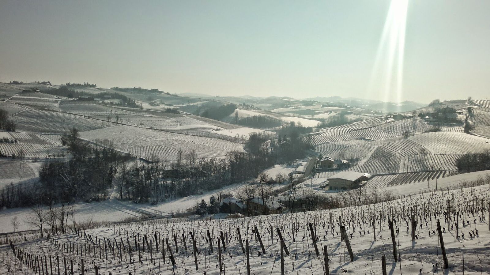 Colline coltivate a vigneto coperte di neve, con i filari spogli in primo piano e qualche casa nella valle