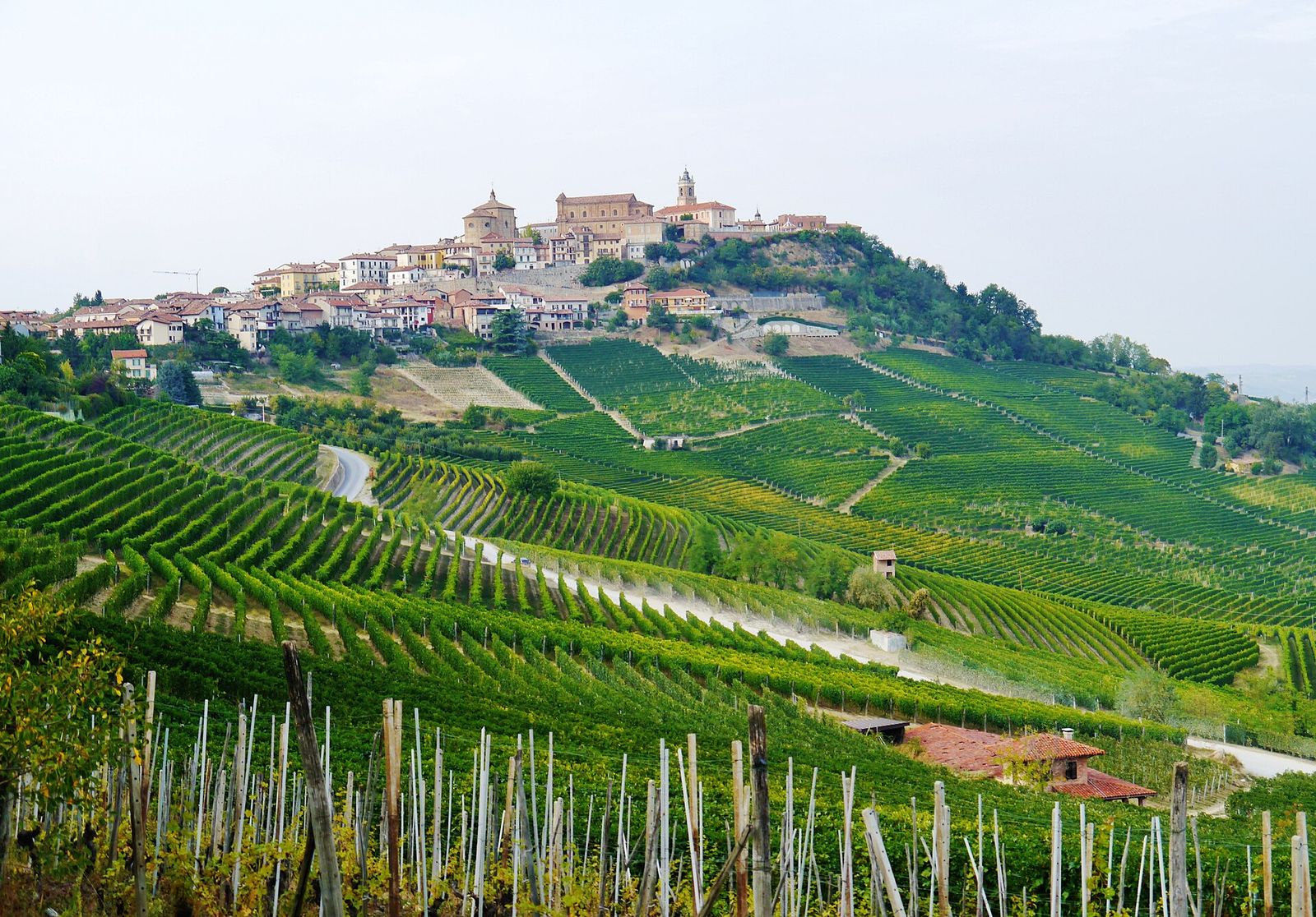 Il paese di La Morra in cima alla collina, sopra pendii coperti di vigneti a filari