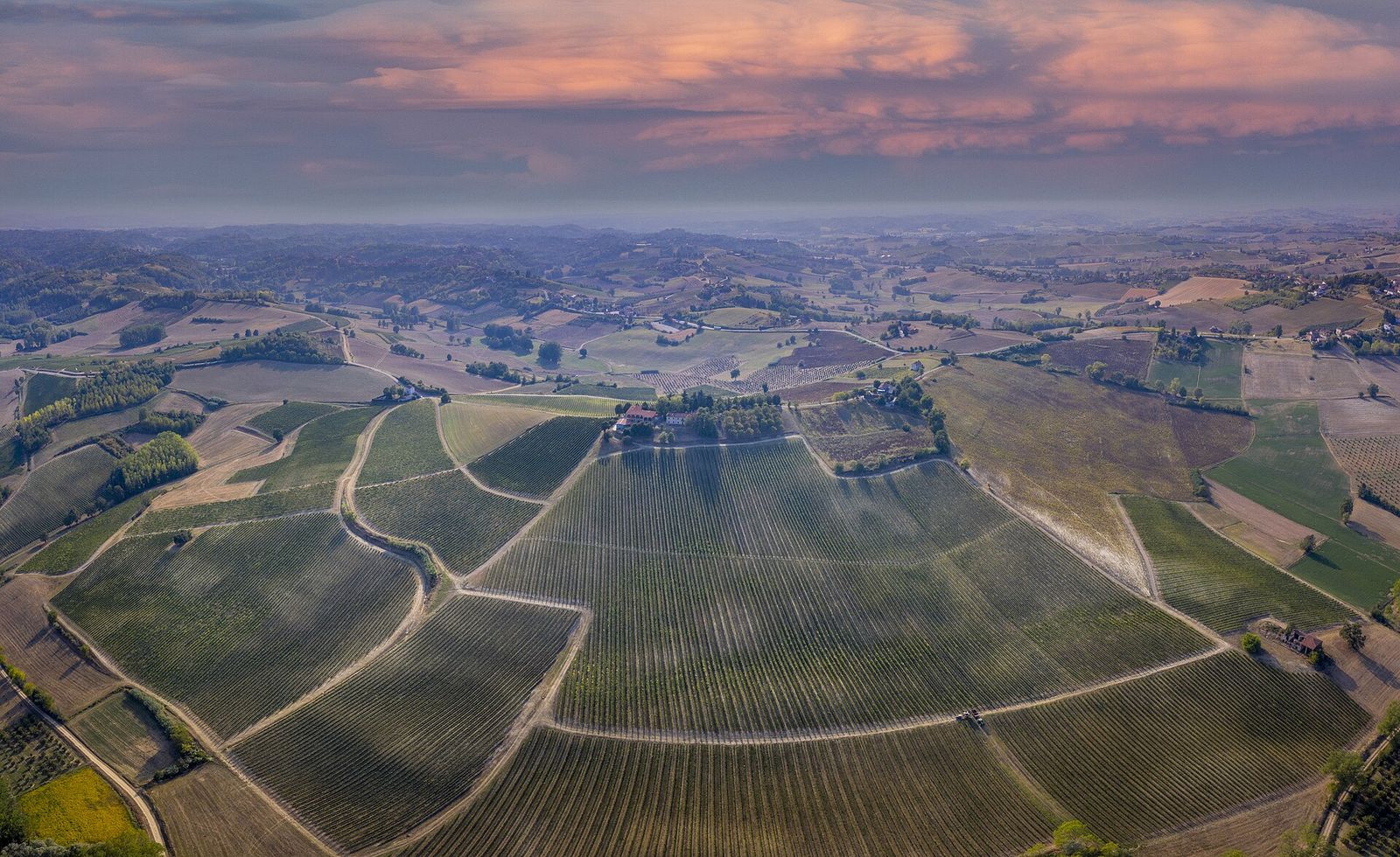 Veduta aerea di vigneti a filari attorno a una cascina sulle colline di Castagnole Monferrato al tramonto